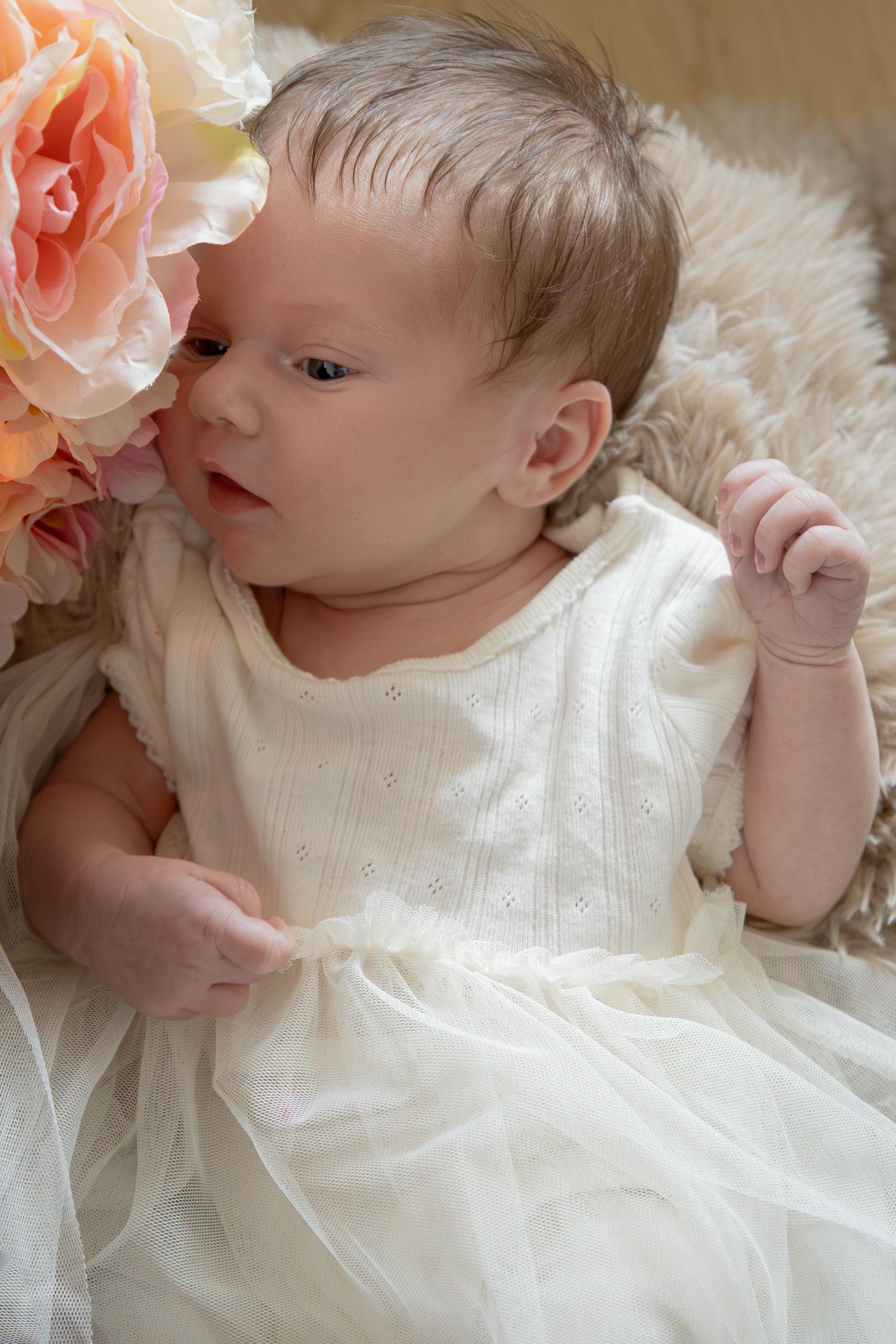 Newborn 3